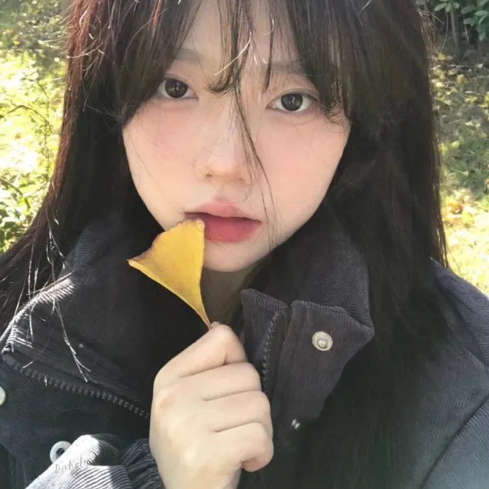 情归长安